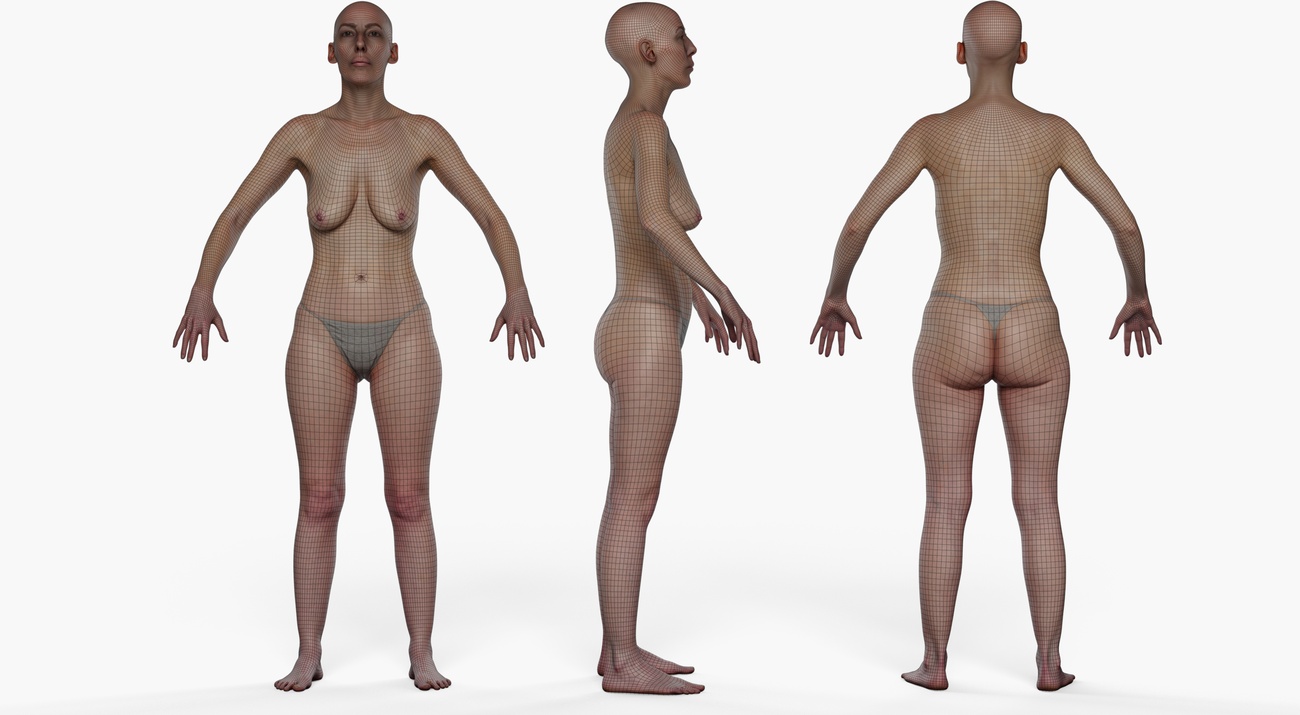Wireframe topology overlay of a female 3D body scan showing clean quad mesh edge loops